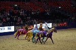 Quadrille - 00574
